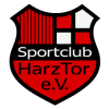 logo-harztor